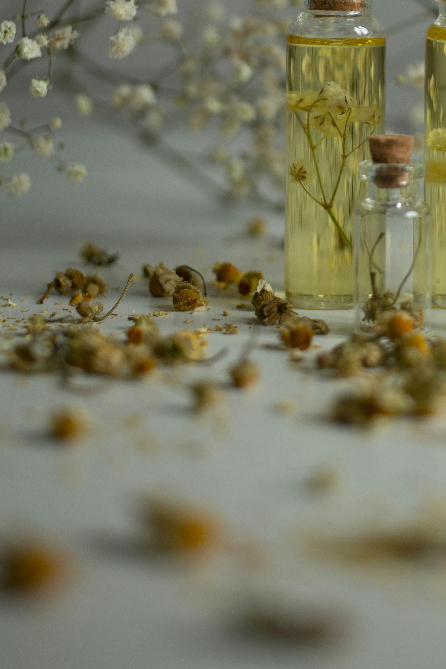 Three small glass bottles with cork lids containing a yellow liquid, surrounded by dried flowers and herbs on a light background.